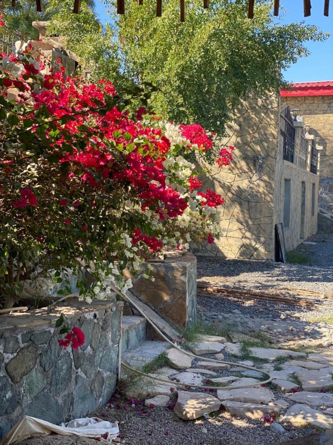 Uae Farm Villa Qur Buitenkant foto